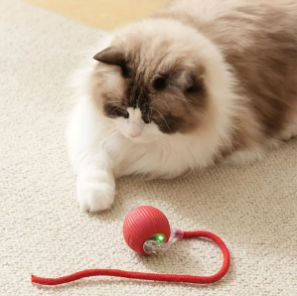 Patiboo İnteraktif Akıllı Kedi Oyuncak Topu – Işıklı ve İpli Hareketli Kedi Oyuncağı