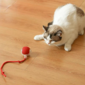 Patiboo İnteraktif Akıllı Kedi Oyuncak Topu – Işıklı ve İpli Hareketli Kedi Oyuncağı