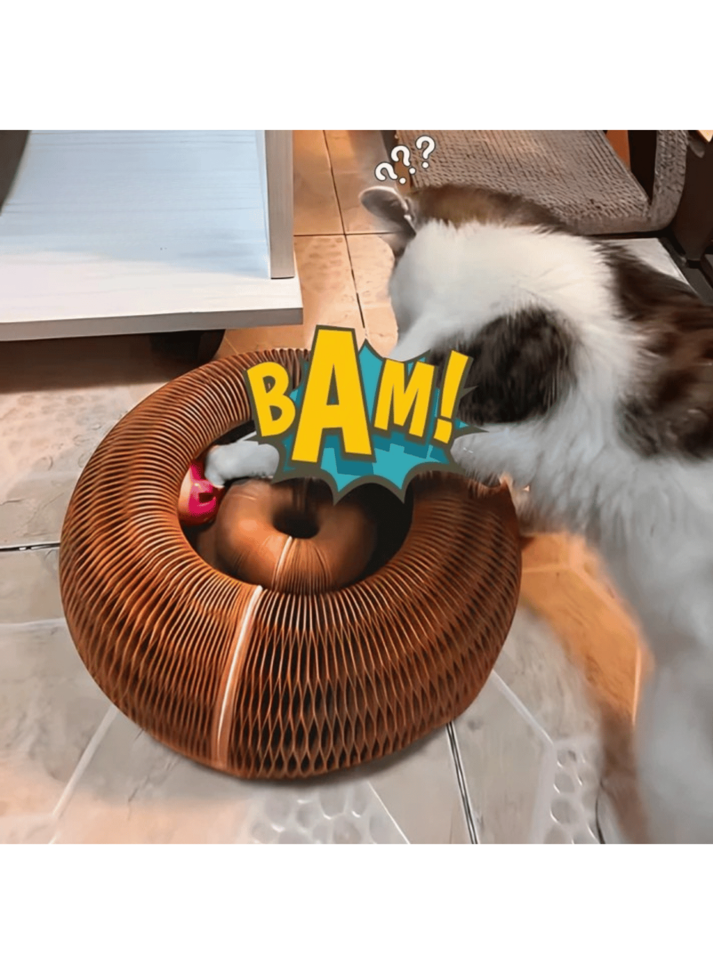 🐾 Patiboo™ Akıllı Tırmalama ve Oyun Yatağı