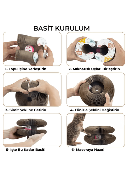 🐾 Patiboo™ Akıllı Tırmalama ve Oyun Yatağı