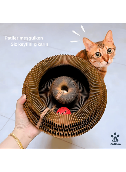 🐾 Patiboo™ Akıllı Tırmalama ve Oyun Yatağı