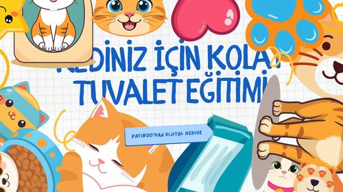 Patiboo Rehber: Kediniz İçin Kolay Tuvalet Eğitimi (Dijital E-Kitapçık)